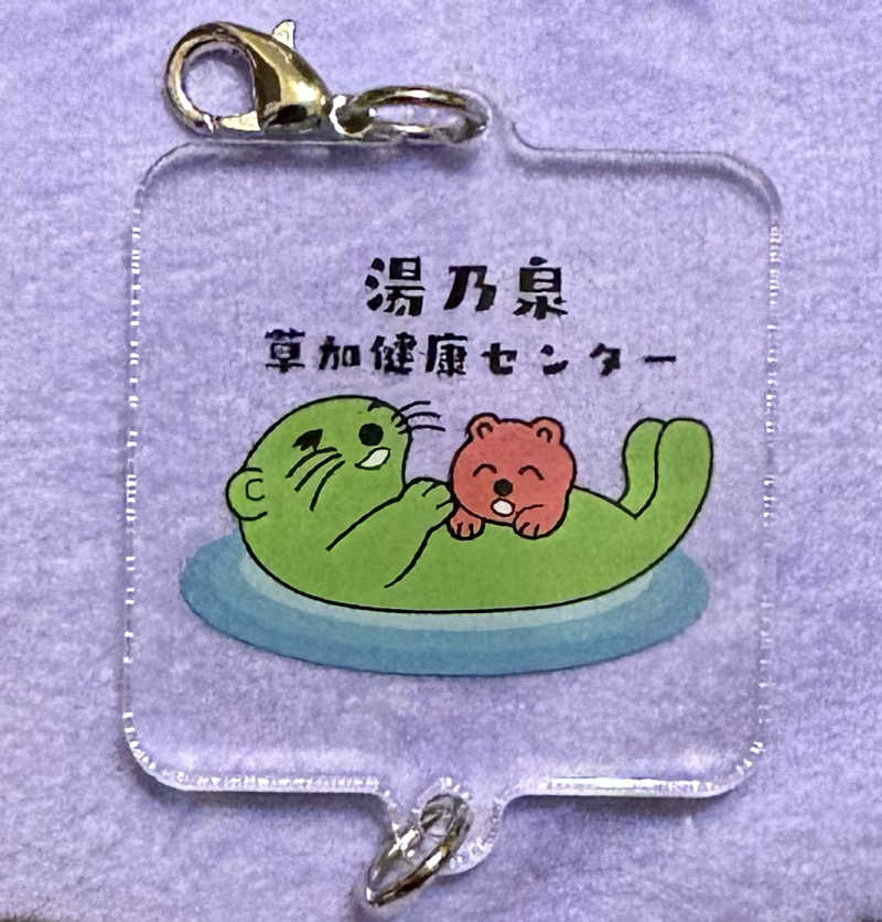 アム君さんの湯乃泉 草加健康センターのサ活写真