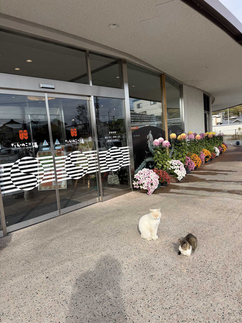 丹寅朝太郎さんのたかのこの湯(たかのこのホテル)のサ活写真