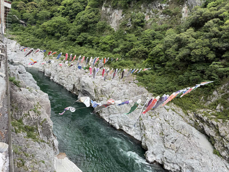 丹寅朝太郎さんの峡谷の湯宿 大歩危峡まんなかのサ活写真