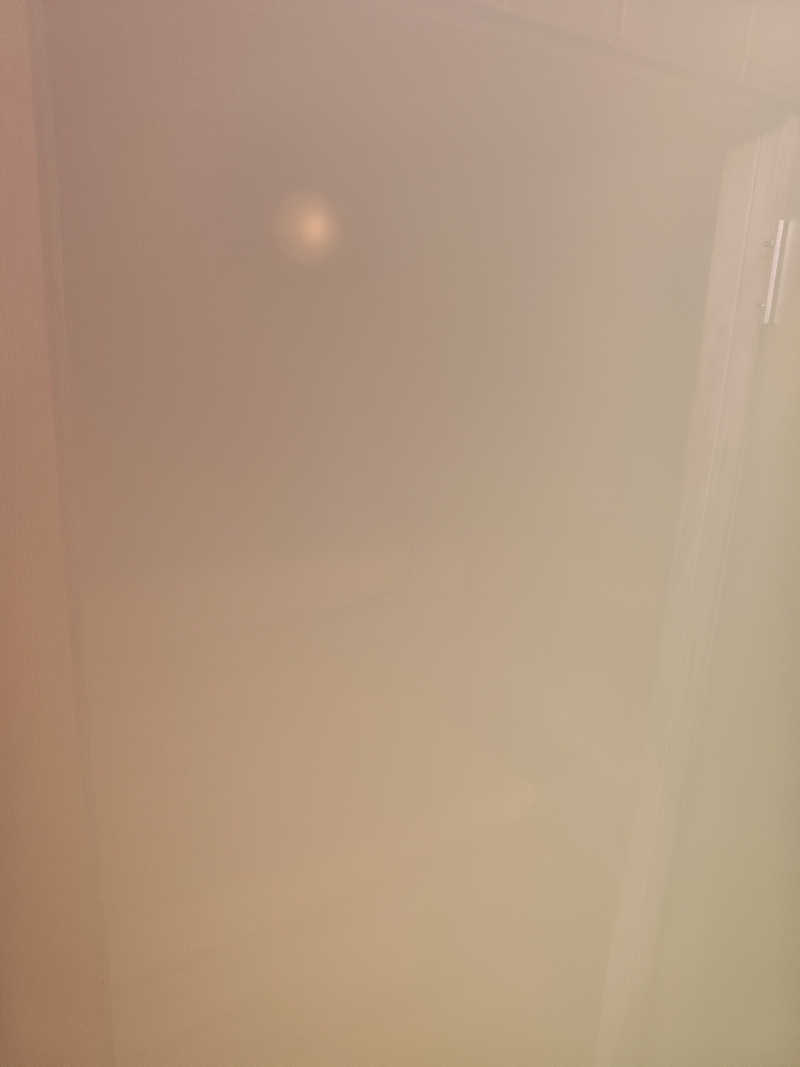 ヴィヒタロンさんの天然温泉ジャブのサ活写真