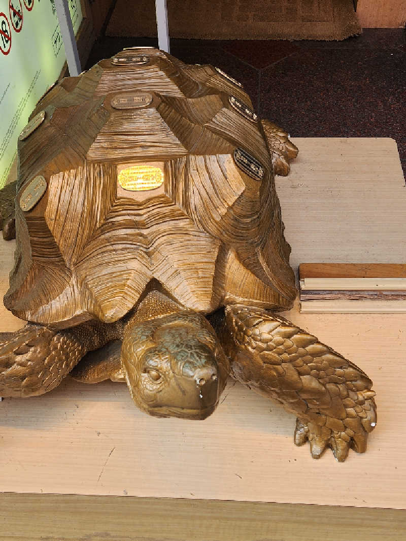 キッムーラさんの生姜サウナ 金の亀のサ活写真