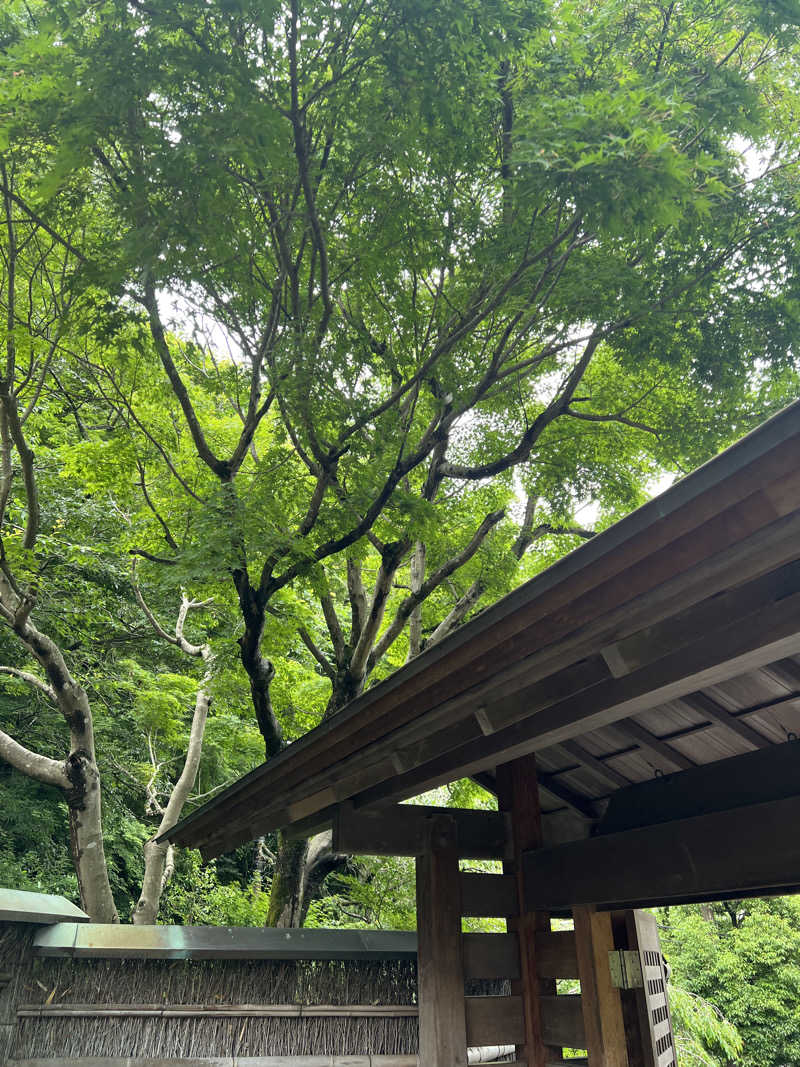 どんぐりさんの天山湯治郷 ひがな湯治 天山のサ活写真
