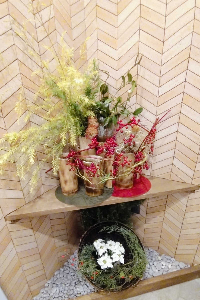 かめたさんの朝日湯源泉ゆいるのサ活写真