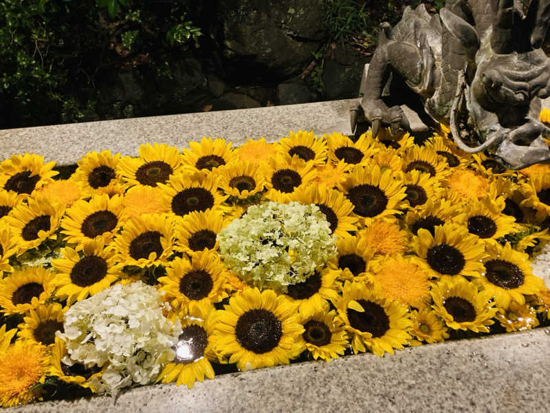 ちゃんにいさんのよみうりランド眺望温泉 花景の湯のサ活写真