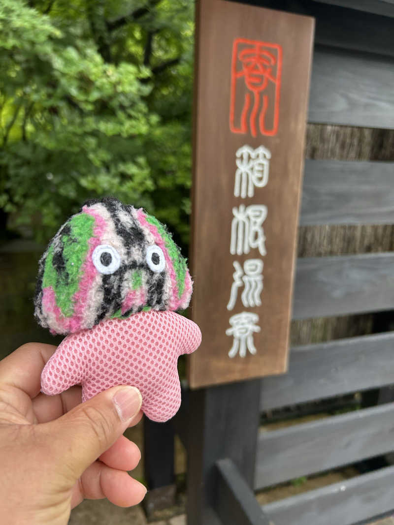 とんちんさんの箱根湯寮のサ活写真