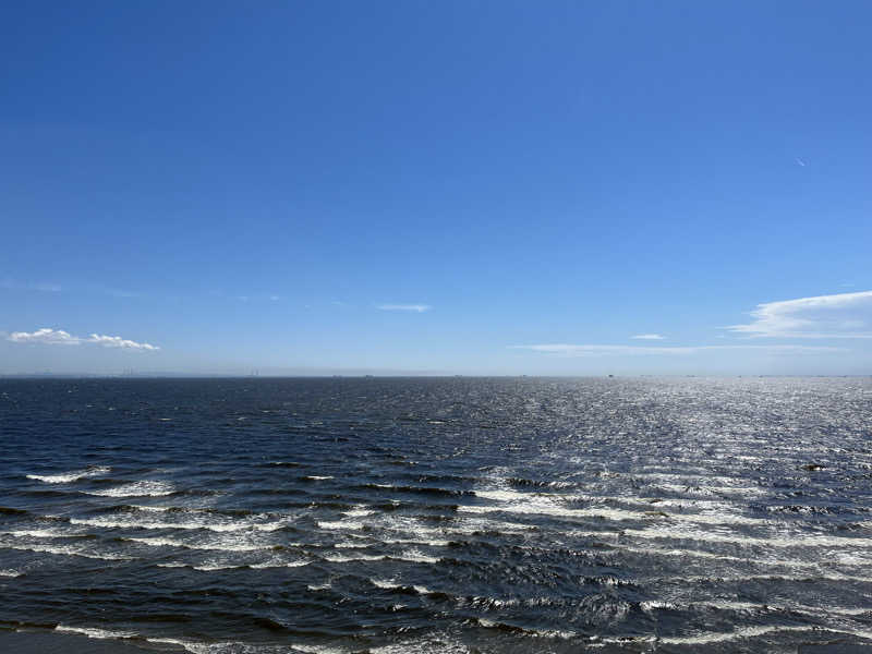 SiegfriedさんのJFA夢フィールド 幕張温泉 湯楽の里のサ活写真