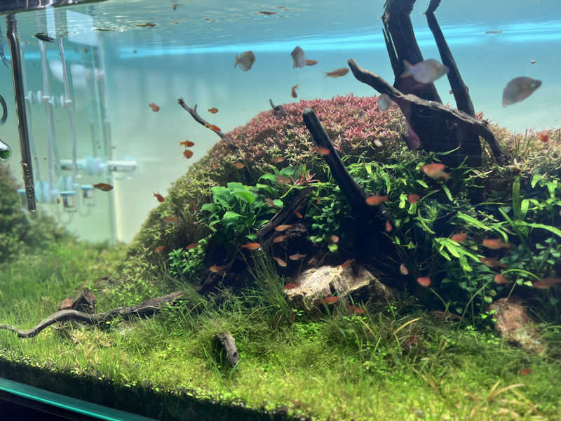 SiegfriedさんのSAUNA煌ｰKOUｰのサ活写真