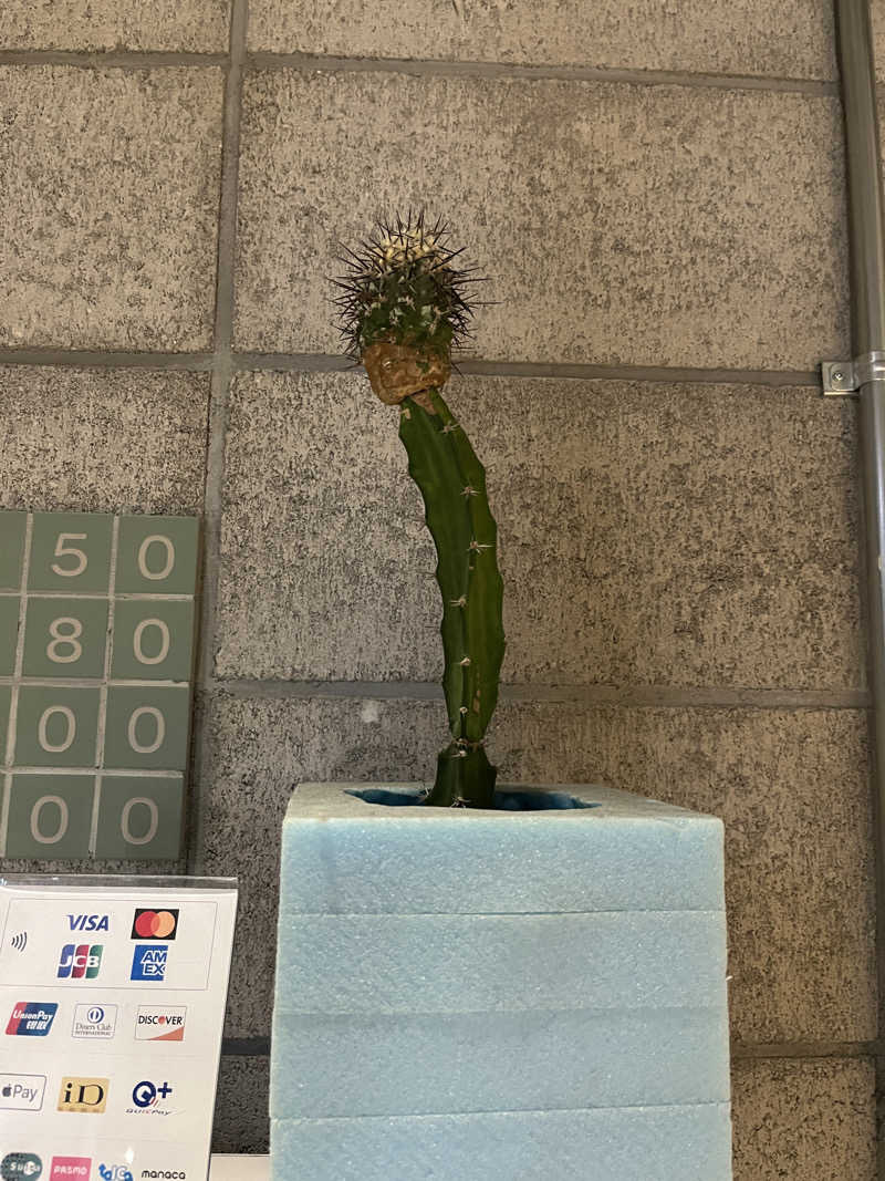 よっちゃんさんの狛江湯のサ活写真