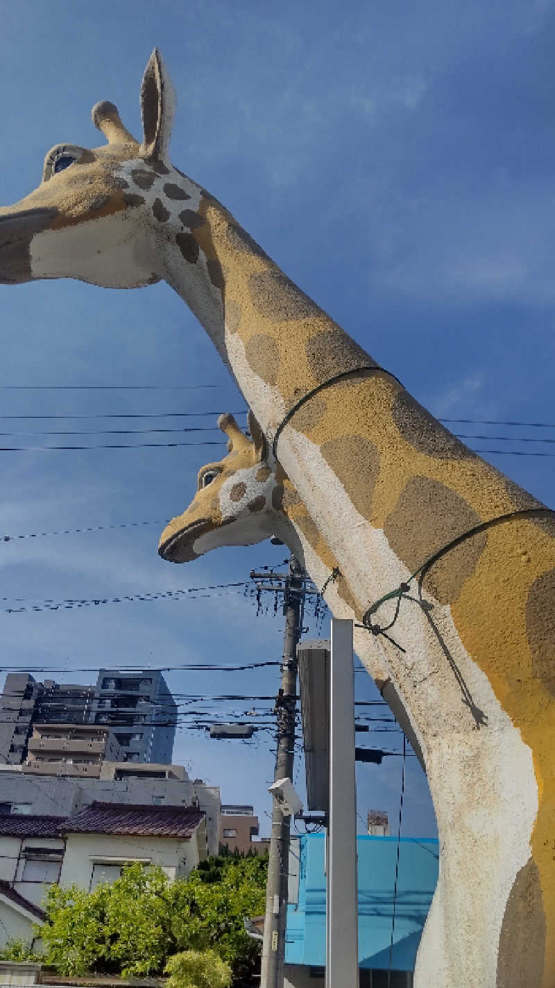 つよぽんさんのウェルビー今池のサ活写真