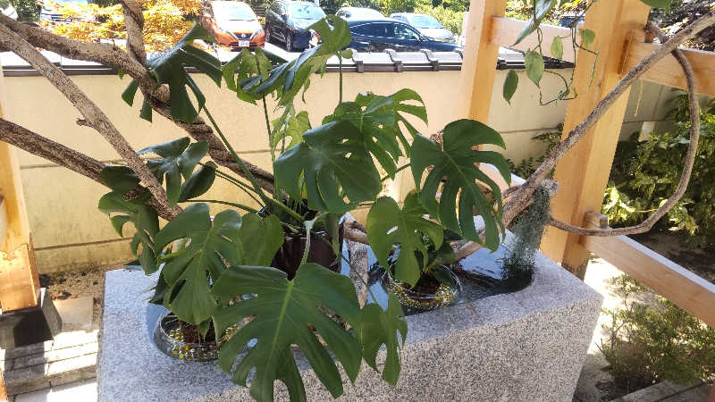 つよぽんさんのSAUNA RESORT 天光の湯のサ活写真