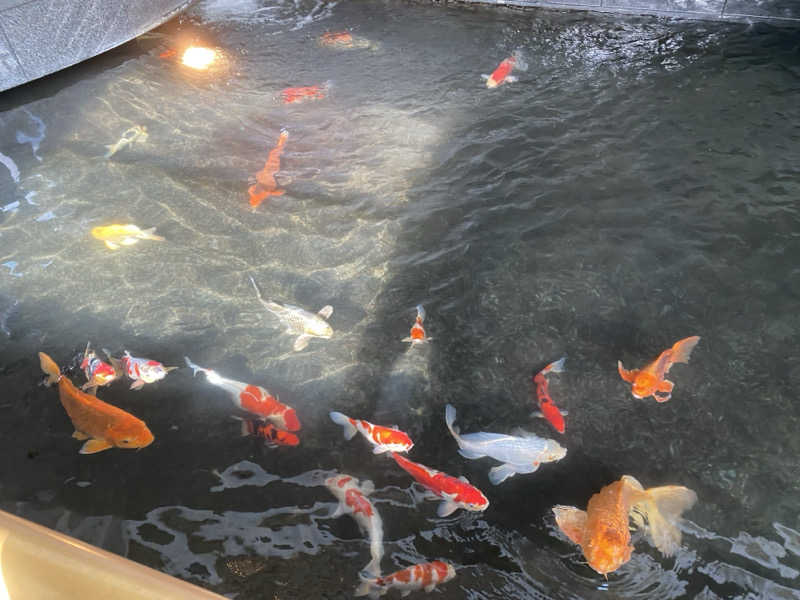 ジョン🐶さんの秋保グランドホテルのサ活写真