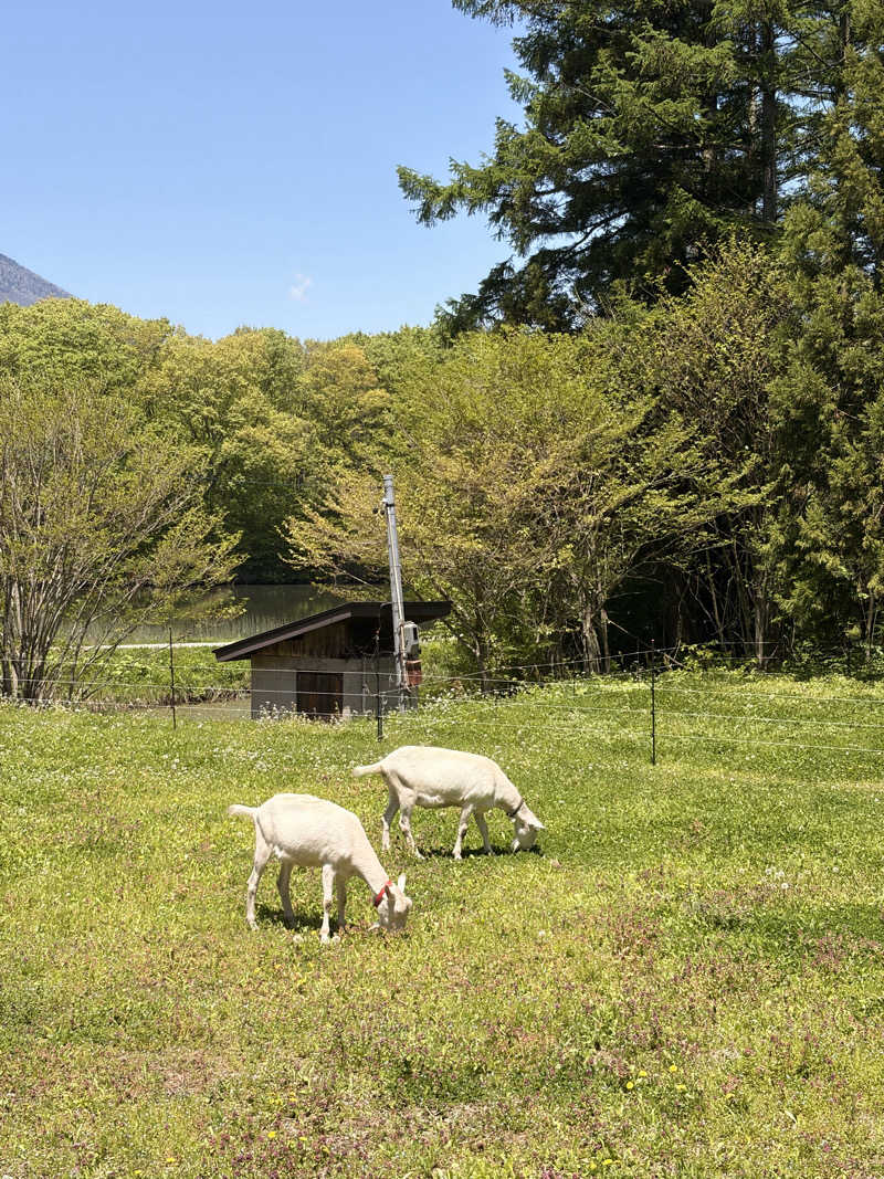 かいとさんのEarthboat Kurohimeのサ活写真