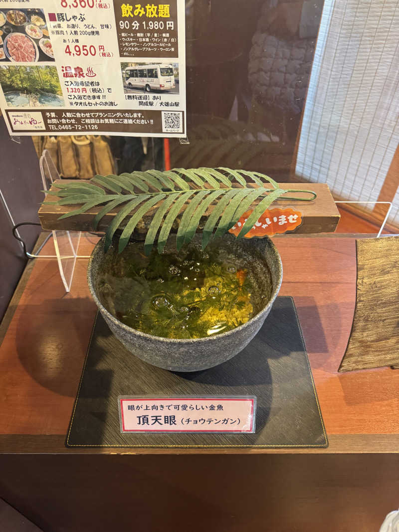 DALIさんのモダン湯治 おんりーゆーのサ活写真