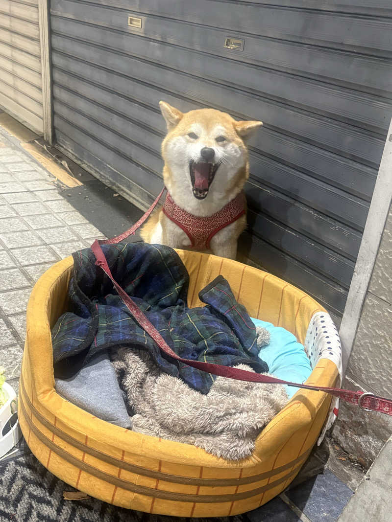 みきてぃさんのやよいの湯のサ活写真