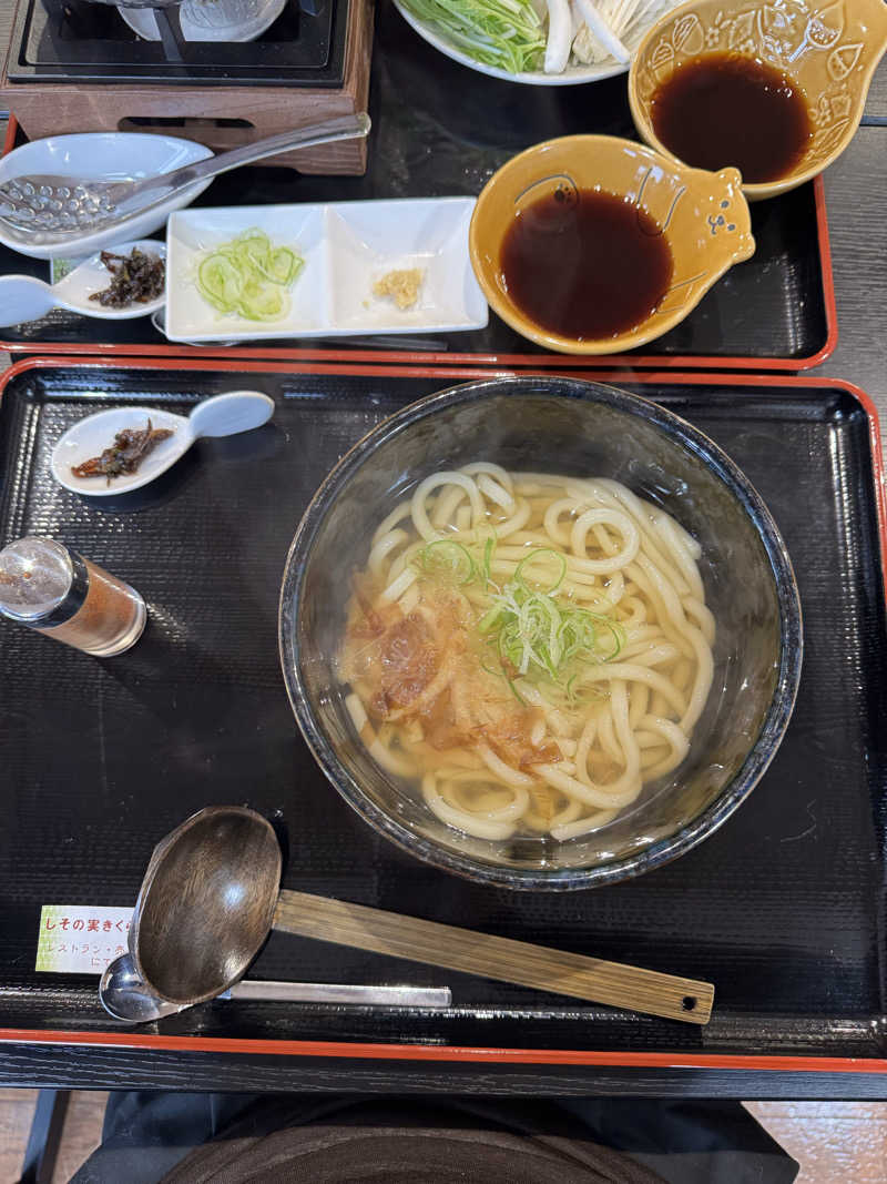 サウナ記録さんの巌立峡 ひめしゃがの湯のサ活写真