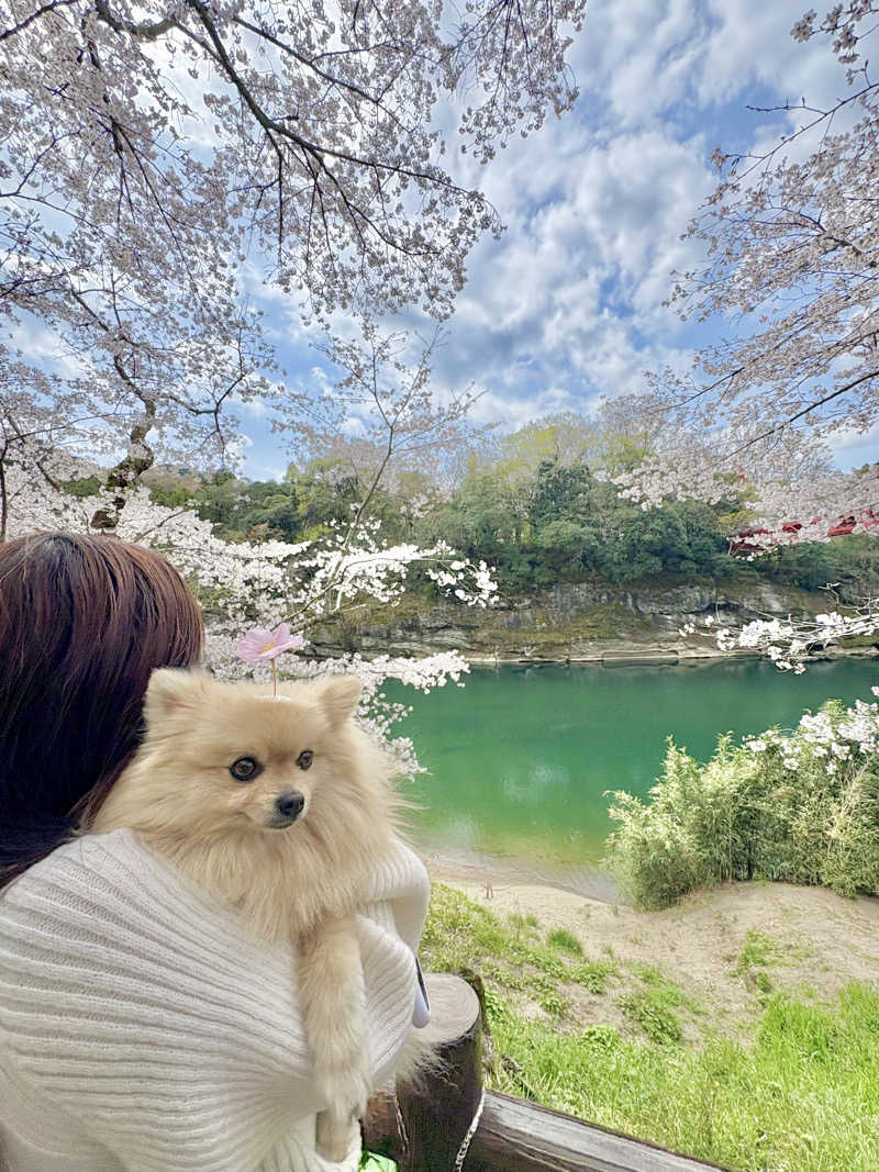 ポメサウナーさんのみどり湯のサ活写真