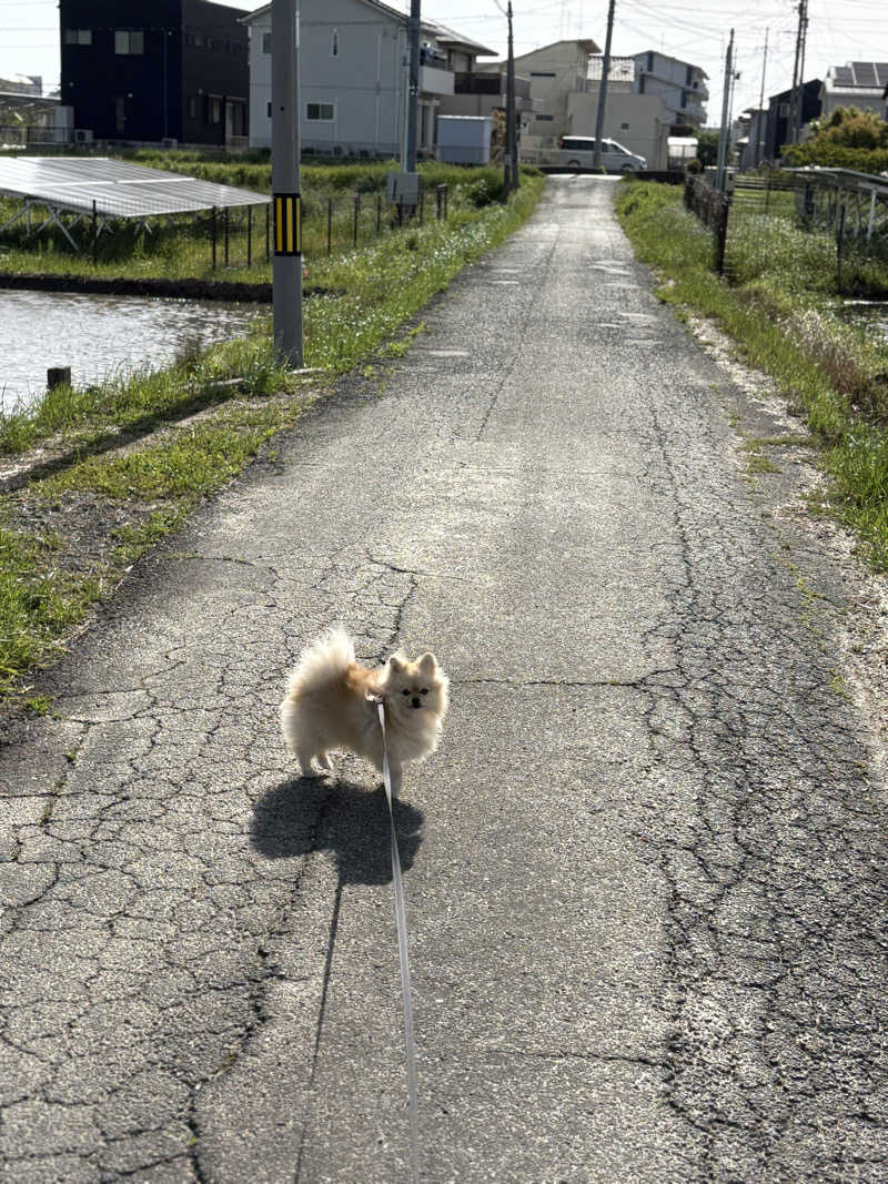 ポメサウナーさんの古橋廣之進記念浜松市総合水泳場 ToBiOのサ活写真