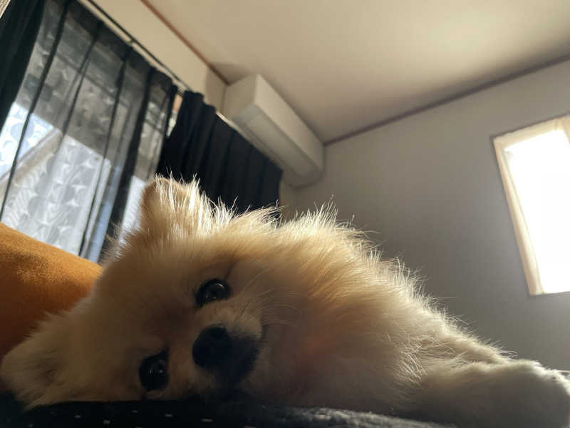 ポメサウナーさんの古橋廣之進記念浜松市総合水泳場 ToBiOのサ活写真