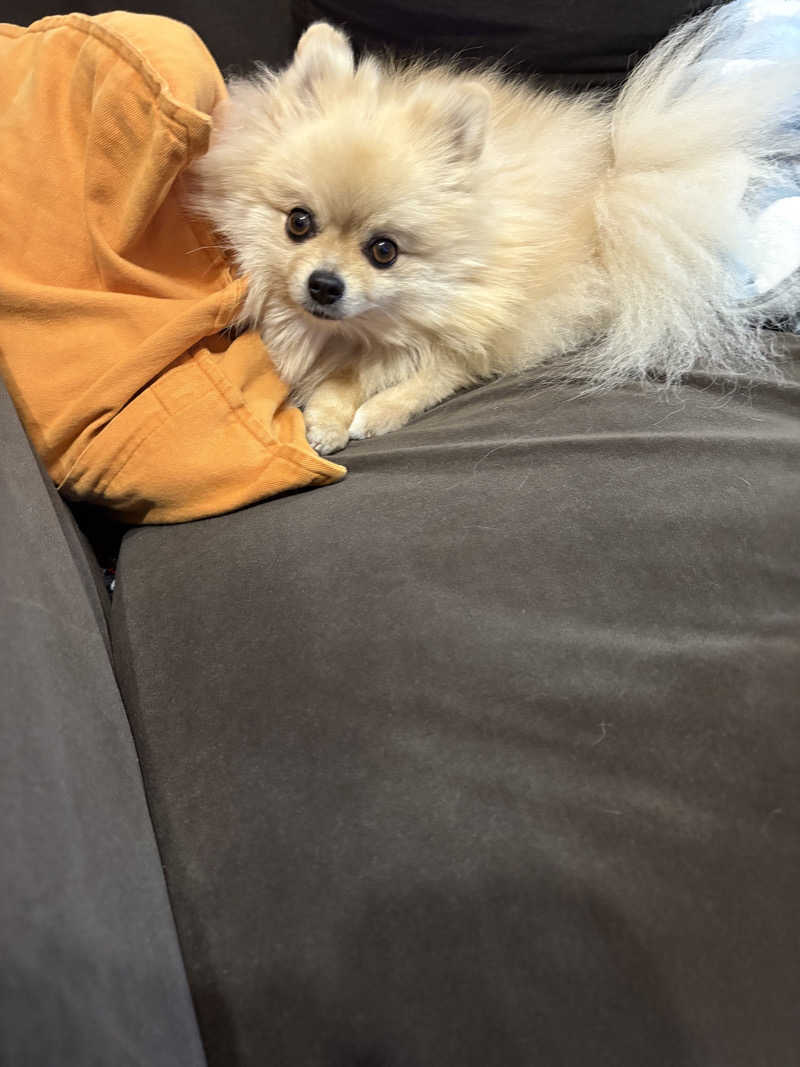 ポメサウナーさんの浜名湖レークサイドプラザ 三ヶ日温泉 万葉の華のサ活写真