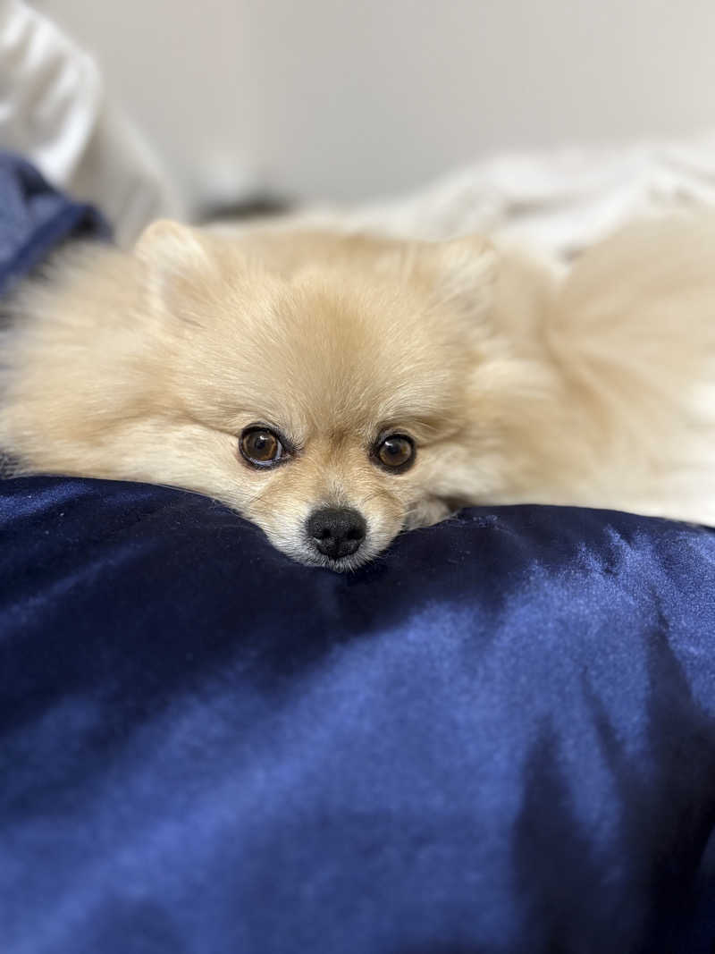 ポメサウナーさんの古橋廣之進記念浜松市総合水泳場 ToBiOのサ活写真