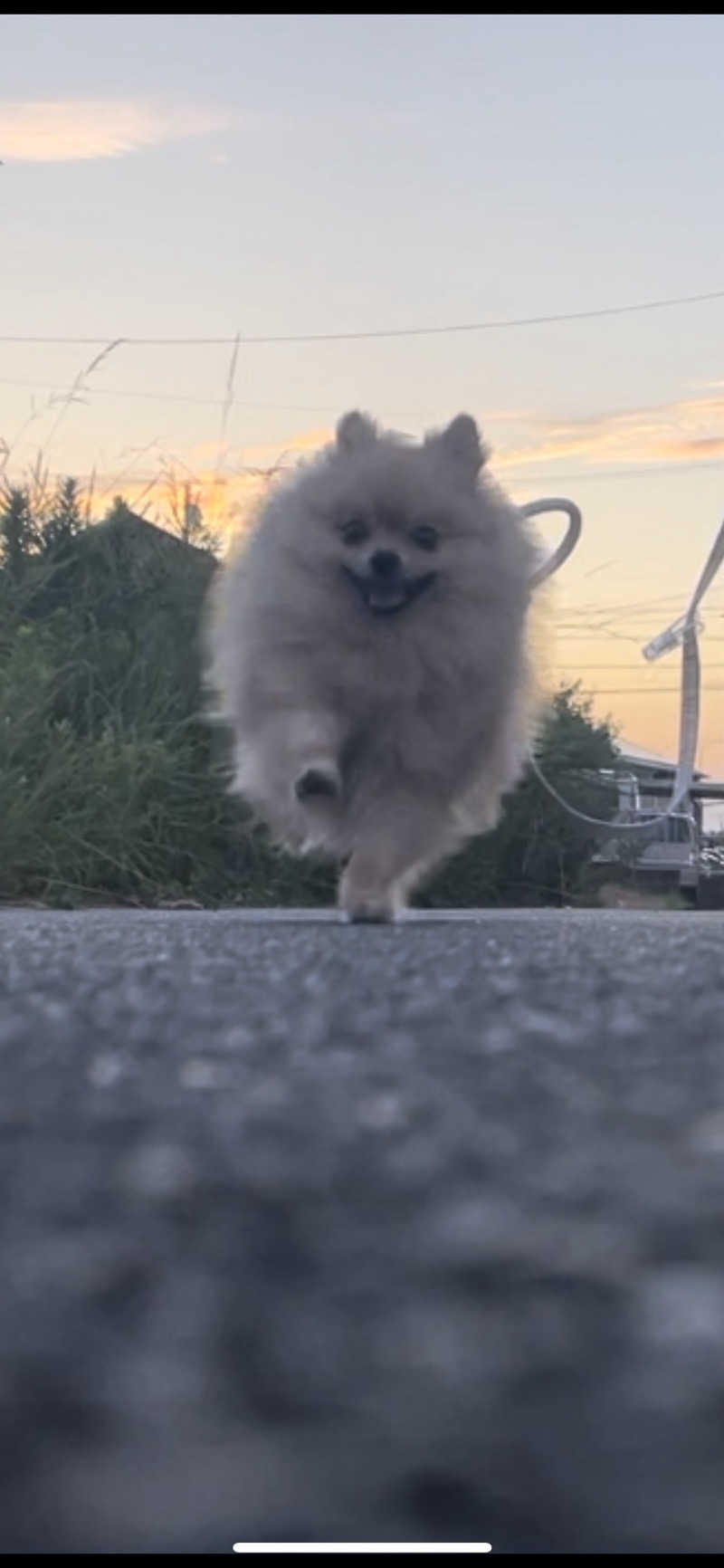 ポメサウナーさんのウェルビー栄のサ活写真