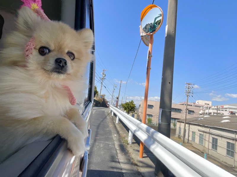 ポメサウナーさんのTHE SCENE hamanakoのサ活写真