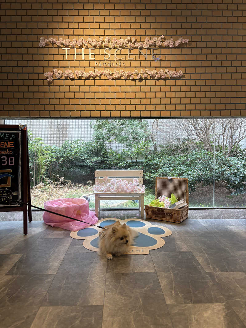 ポメサウナーさんのTHE SCENE hamanakoのサ活写真