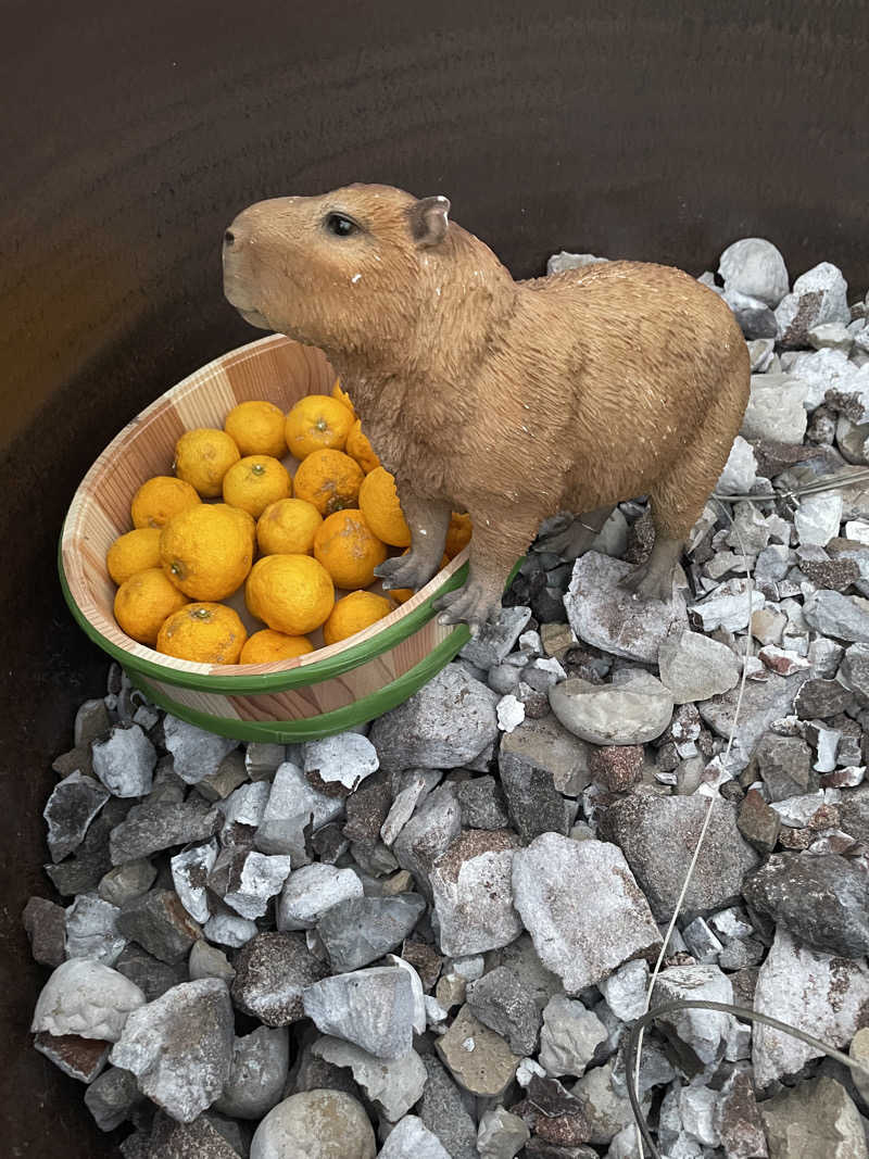 クマ🐻🐻‍❄️🧸さんの富士山天然水SPA サウナ鷹の湯のサ活写真