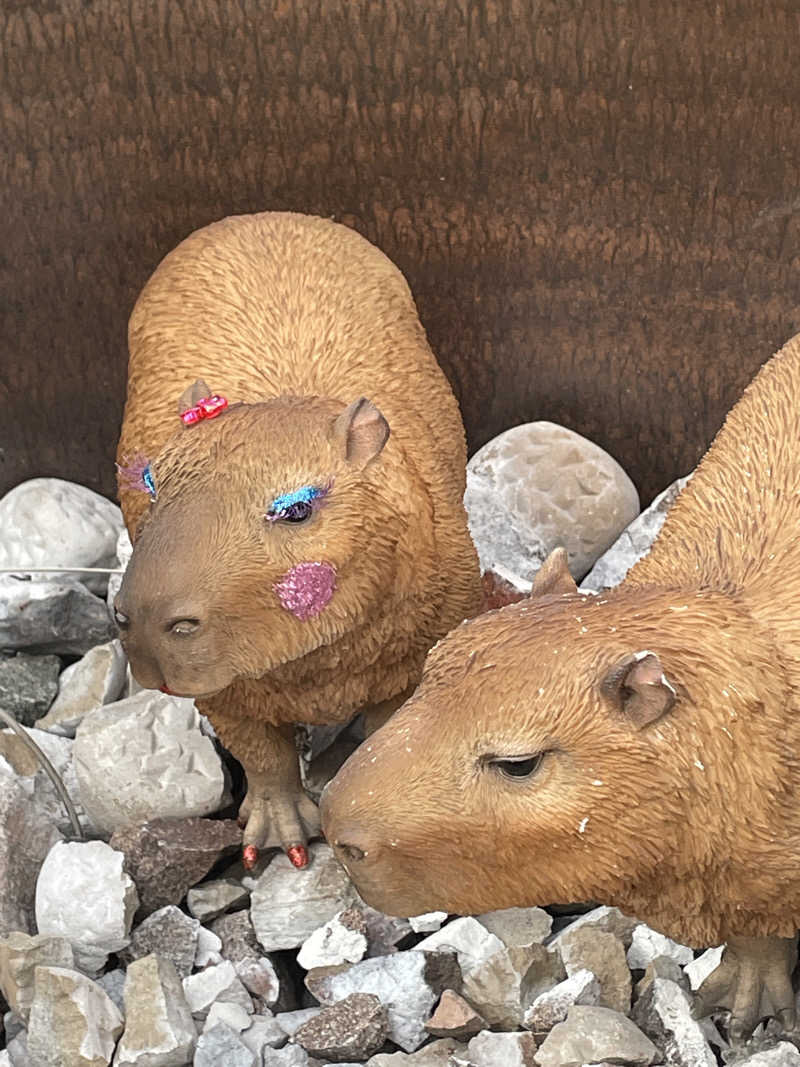 クマ🐻🐻‍❄️🧸さんの富士山天然水SPA サウナ鷹の湯のサ活写真