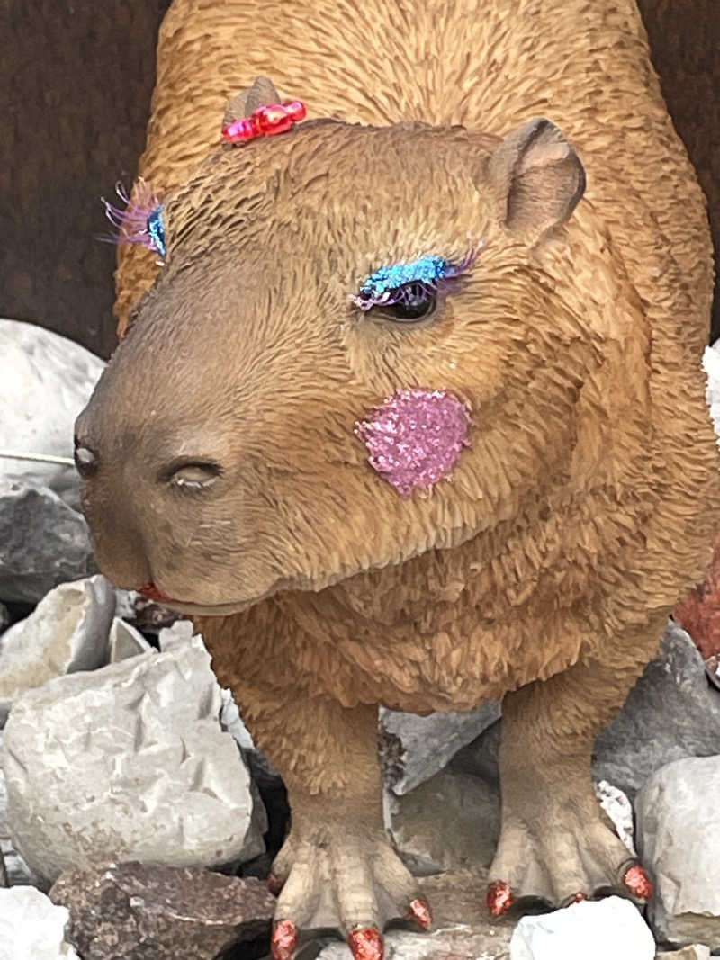 クマ🐻🐻‍❄️🧸さんの富士山天然水SPA サウナ鷹の湯のサ活写真