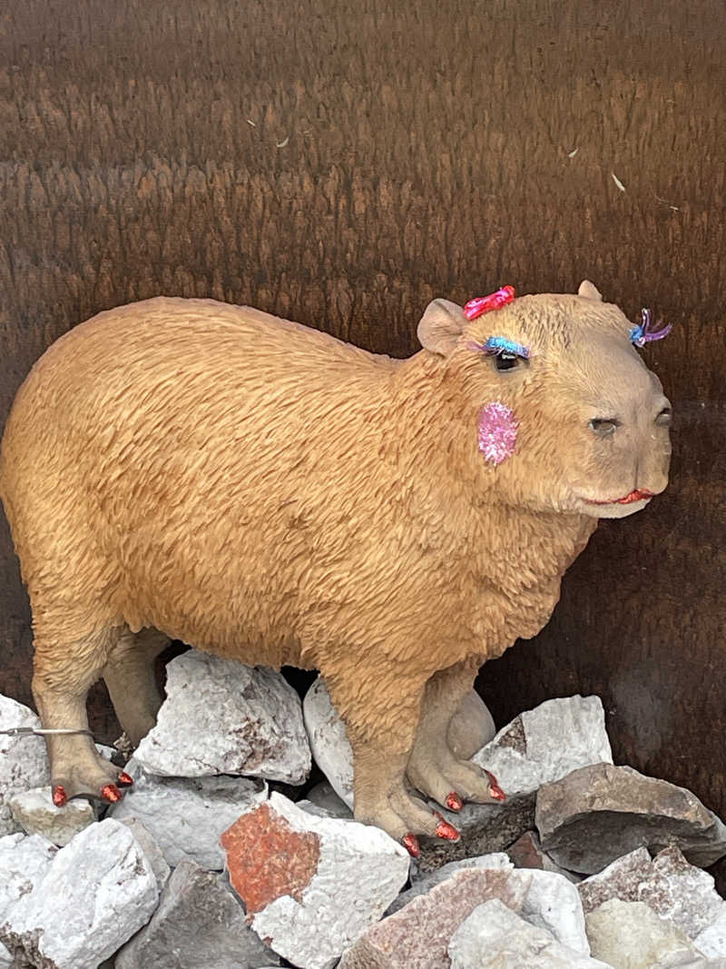 クマ🐻🐻‍❄️🧸さんの富士山天然水SPA サウナ鷹の湯のサ活写真