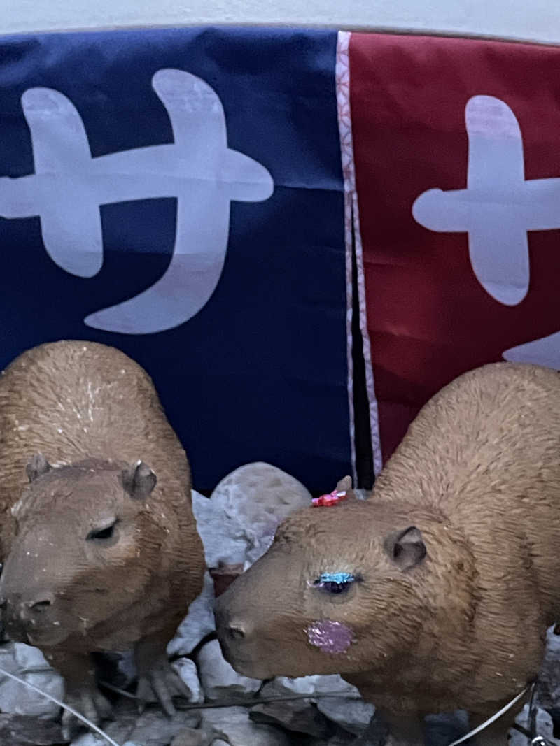 クマ🐻🐻‍❄️🧸さんの富士山天然水SPA サウナ鷹の湯のサ活写真