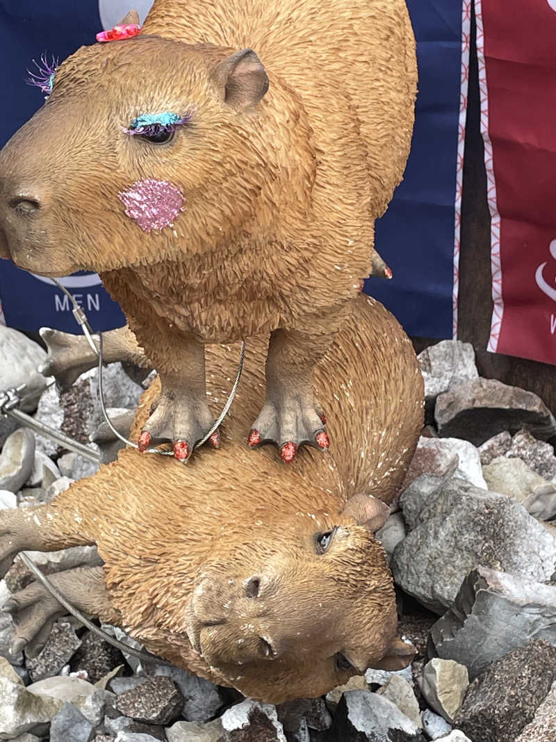 クマ🐻🐻‍❄️🧸さんの富士山天然水SPA サウナ鷹の湯のサ活写真