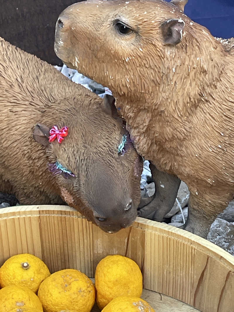 クマ🐻🐻‍❄️🧸🐎🚤🚴さんの富士山天然水SPA サウナ鷹の湯のサ活写真
