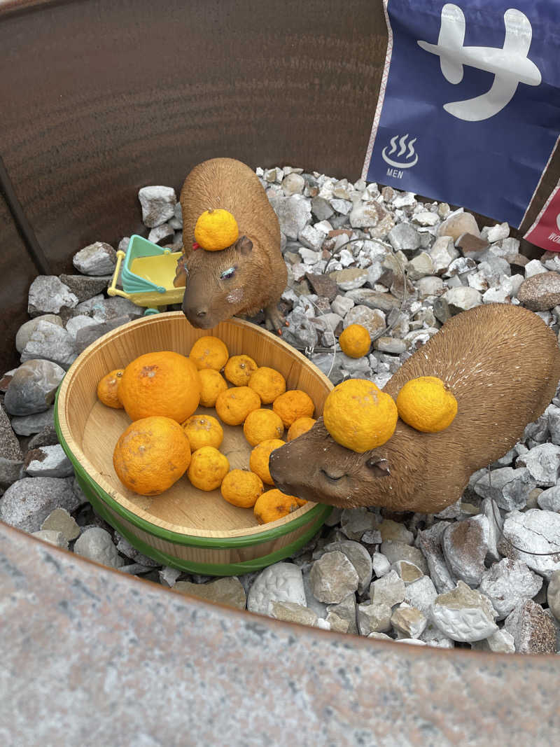 クマ🐻🐻‍❄️🧸🐎🚤🚴さんの富士山天然水SPA サウナ鷹の湯のサ活写真