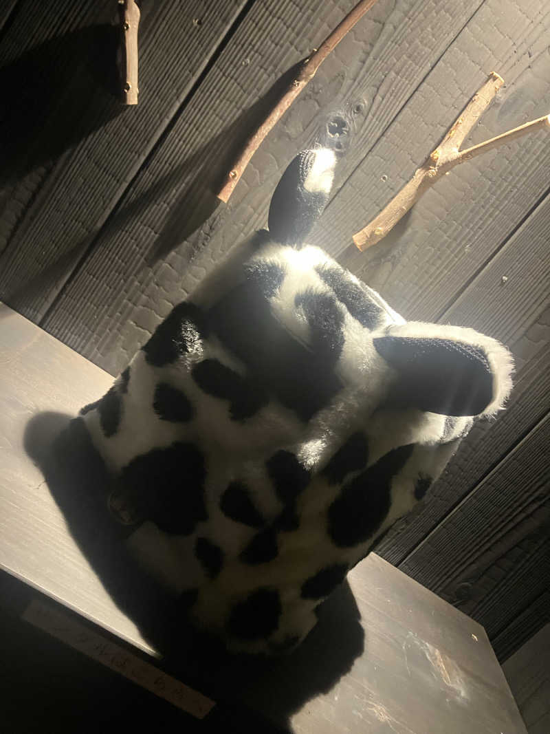 びーふ🐮さんのDOGA SAUNAのサ活写真