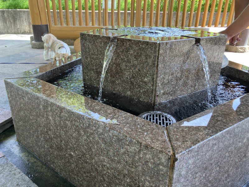 びーふ🐮さんの大垣サウナのサ活写真