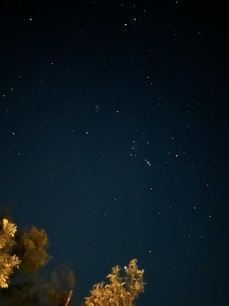 らしゅぱんさんのマイグレCHILLAXのサ活写真