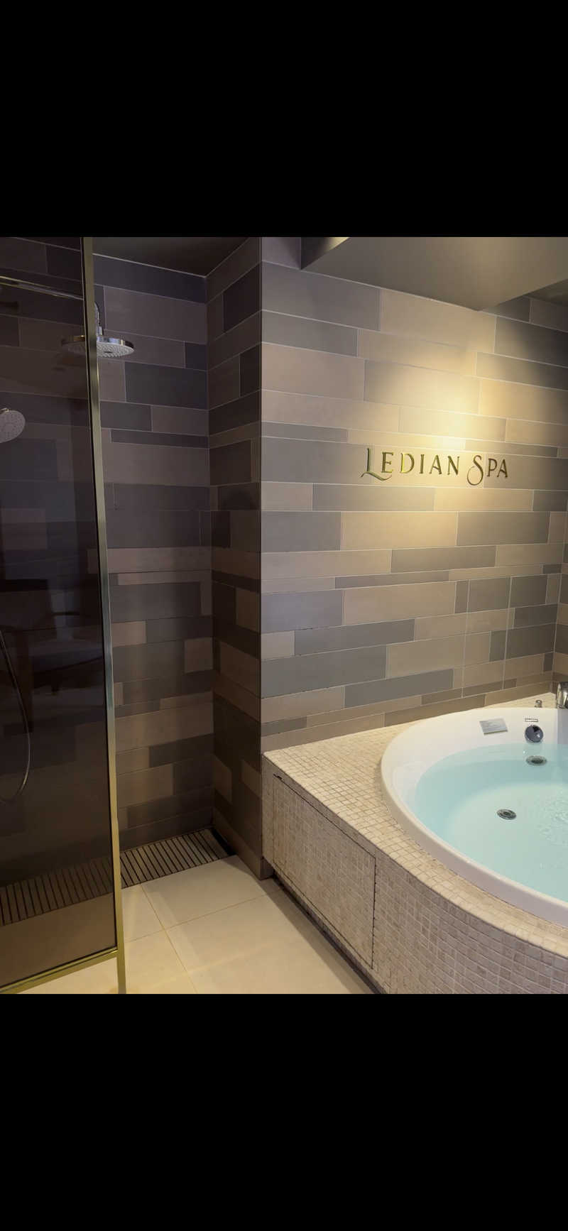ゴリラおじ🦍さんのLedian Spa麻布十番店(レディアンスパ)のサ活写真