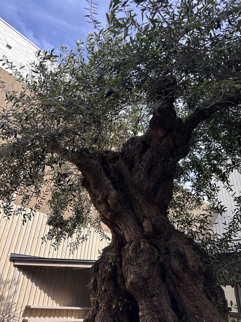 フランチェスコ　汗ルビさんのsauna kolme kylä (サウナ コルメ キュラ)のサ活写真