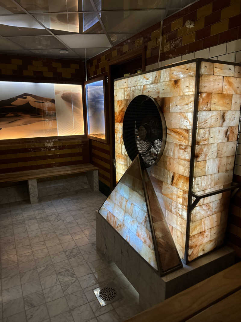 れぐさ  LeGSaさんのCentralbadetのサ活写真