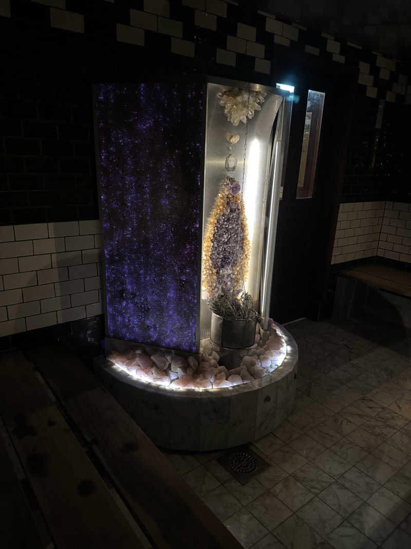 れぐさ  LeGSaさんのCentralbadetのサ活写真