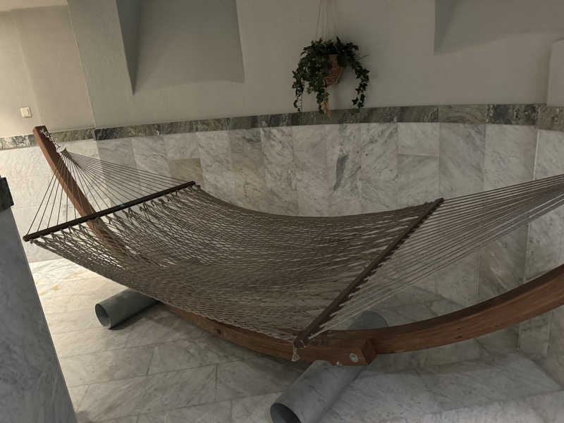 れぐさ  LeGSaさんのCentralbadetのサ活写真