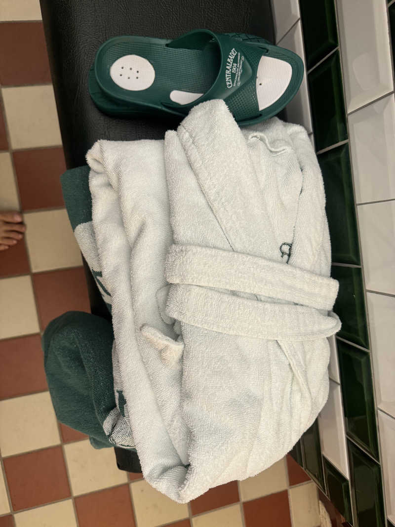 れぐさ  LeGSaさんのCentralbadetのサ活写真