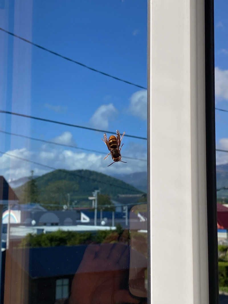 日の出おっきさんのサホロリゾートホテルのサ活写真