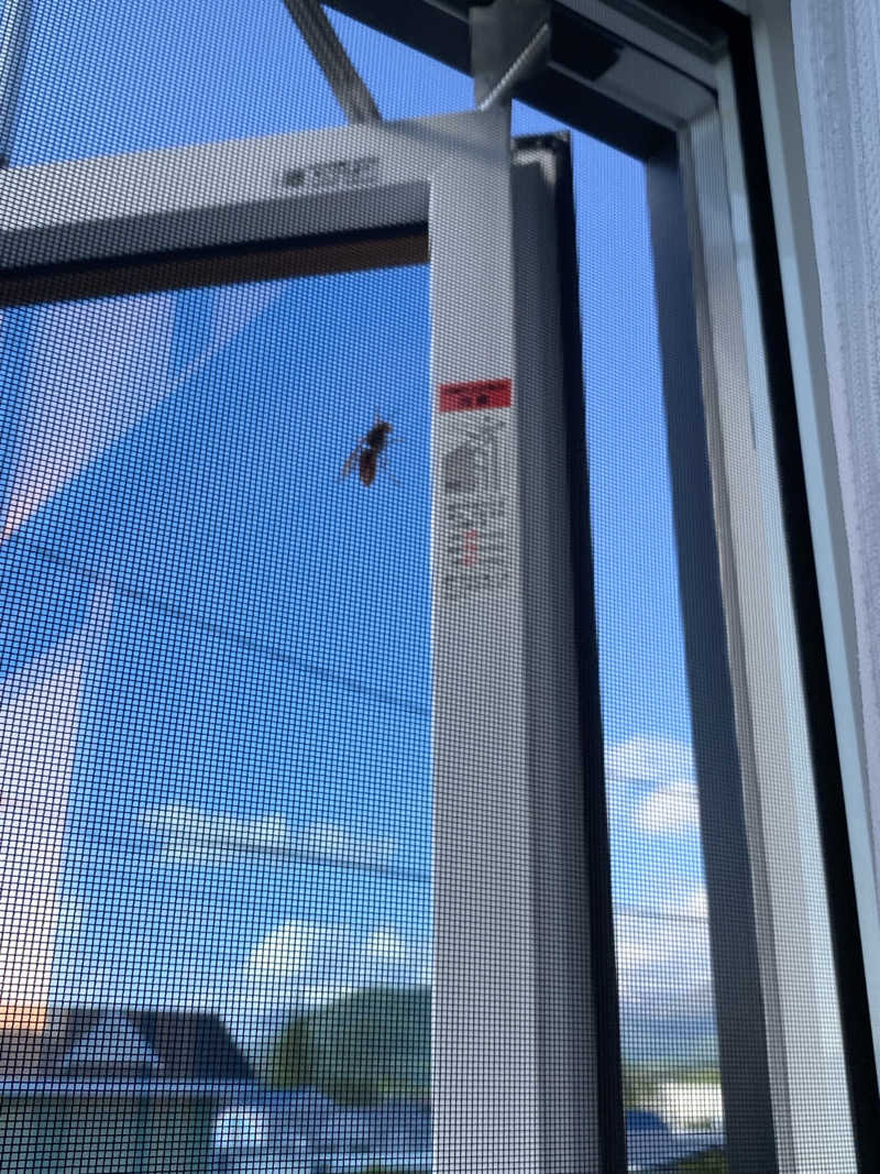 日の出おっきさんのサホロリゾートホテルのサ活写真