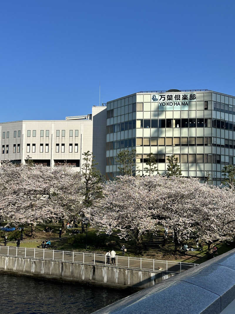 きむさんの横浜みなとみらい 万葉倶楽部のサ活写真