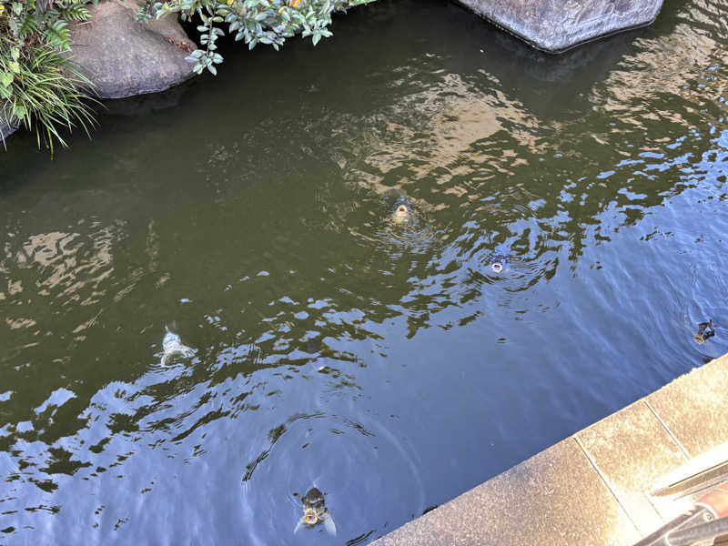 ユッケさんの粕川温泉元気ランドのサ活写真