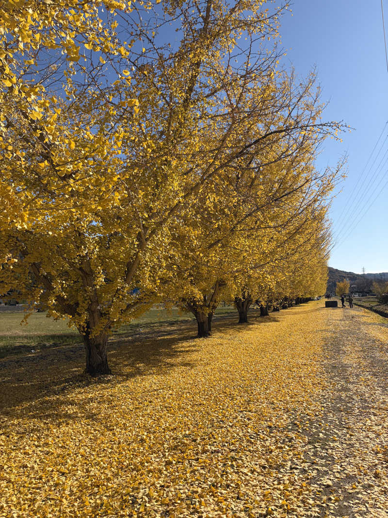ぱてぃーのさんの早太郎温泉 露天こぶしの湯のサ活写真