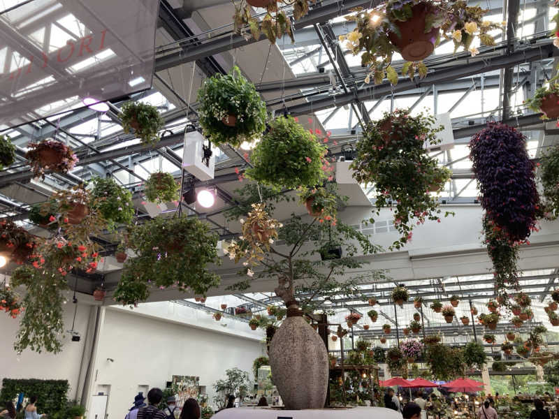 hỹp̃ẽ_はいぽたんさんのよみうりランド眺望温泉 花景の湯のサ活写真